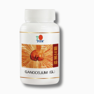 فطر ريشي DXN في المغرب – مكمل طبيعي للمناعة والطاقة